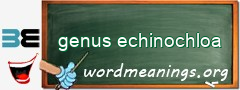 WordMeaning blackboard for genus echinochloa